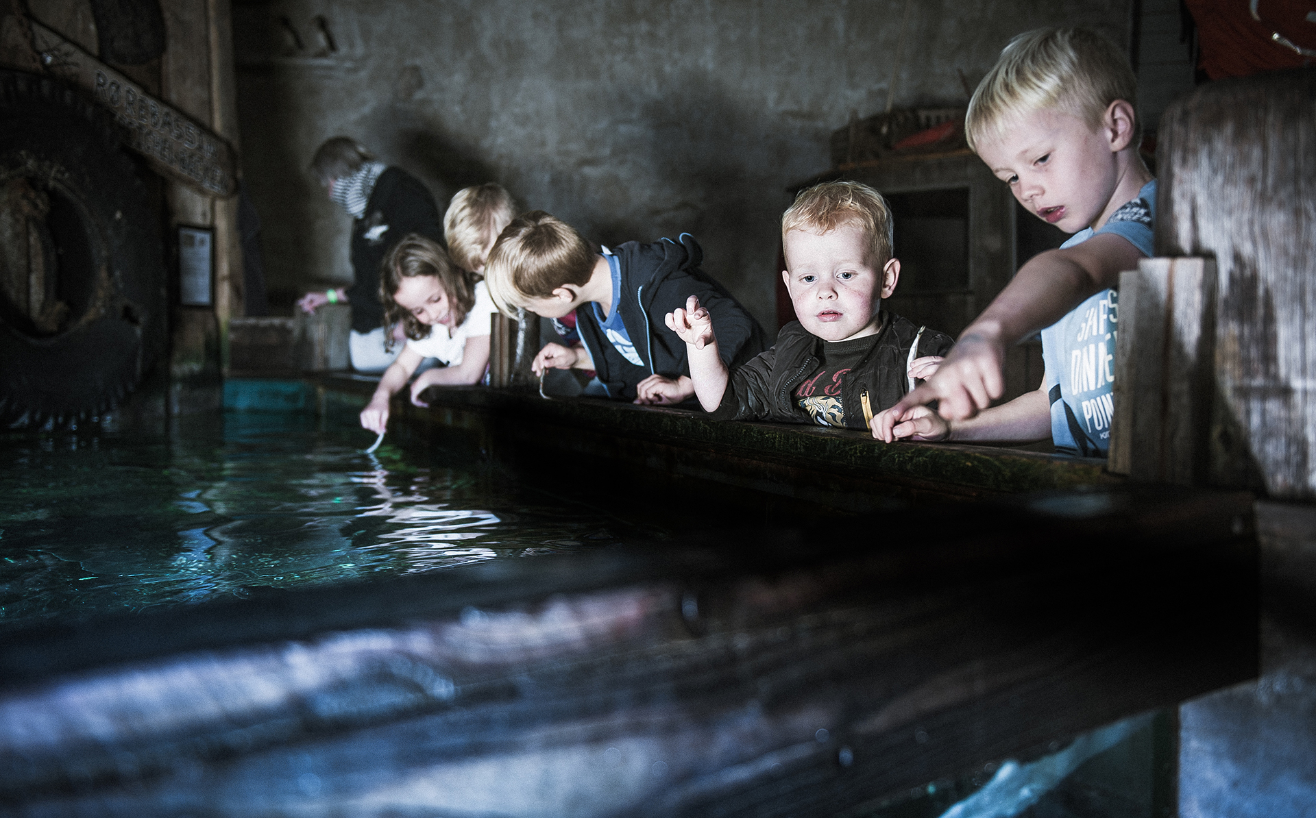 Jyllands Akvarium - Füttern der Haie